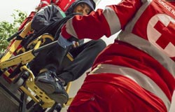 Equipaggio: composizione e comipiti