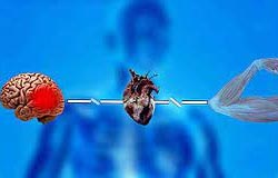 Shock non traumatico